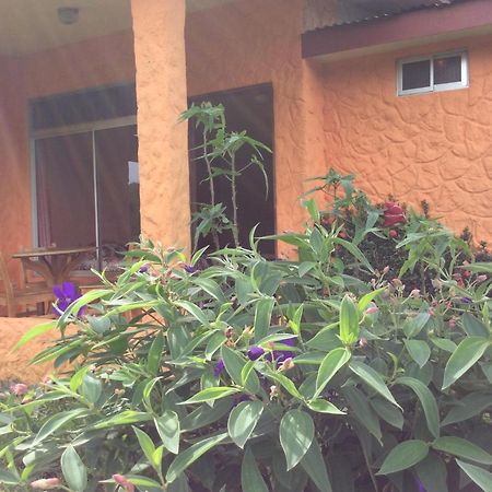 Cabinas Los Guayabos Ξενοδοχείο La Fortuna Εξωτερικό φωτογραφία